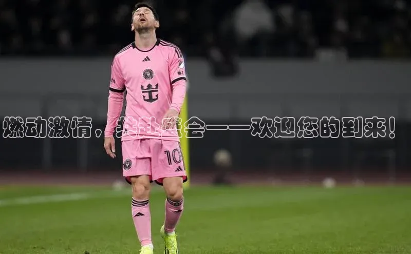 新宝gg创造奇迹平台总代理