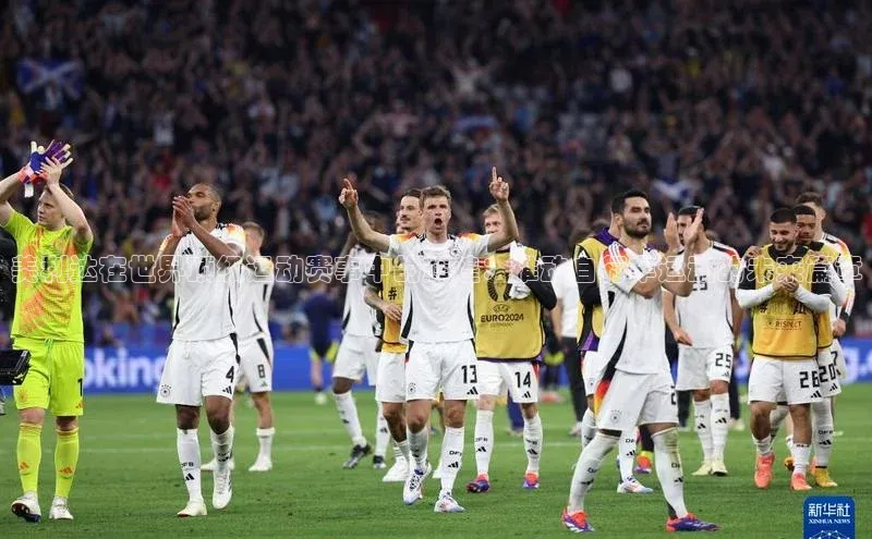 新宝登录app入口手机版