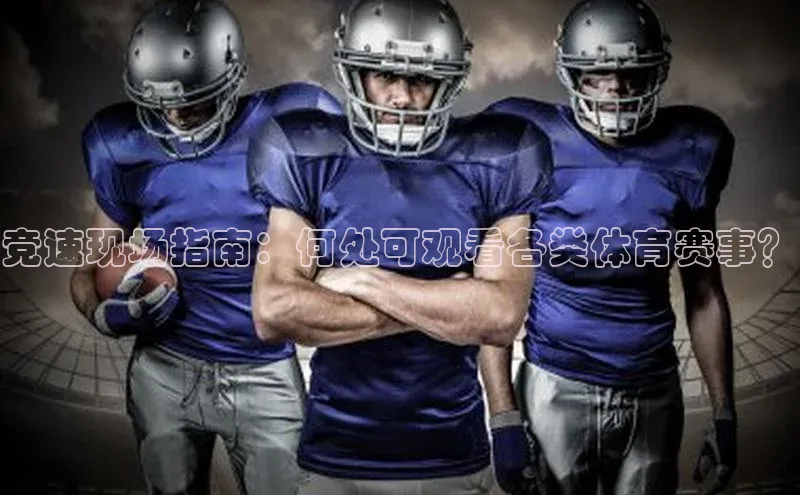 新宝gg官网登录