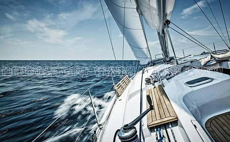 新宝登录app入口手机版