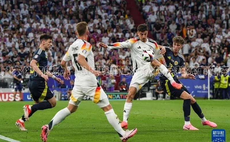 gg网站入口官网