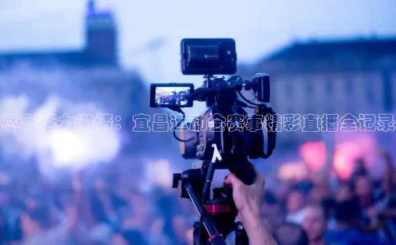 新宝gg注册登录入口